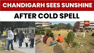 Chandigarh Highway Traffic Returns To Normal As Clear Skies Improve Visibility | India Today News