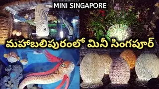 India Seashell Museum | Mini Singapore In Mahabalipuram | Telugu