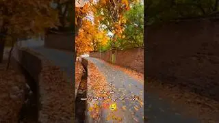 New year sad poetry ! 2026 ! Urdu poetry ! HinaGulofficial !