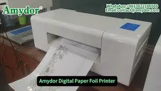 Looking for a fully automatic plate-free Foil Printing Machine?