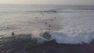 Lafitenia Mavic