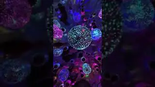 Museum of Dream Space in L.A.
