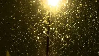 Snow Falling at Night 1080P HD Kodak Zi8
