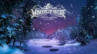 Wonders Of Nature - Winter Forest (Bonus Edition) (OFFICIAL FULL ALBUM) (2018)