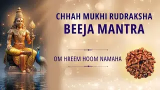 6 Mukhi Rudraksha Beeja Mantra for Emotional Balance & Inner Strength #rudratree #innerstrength