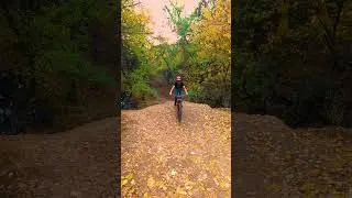 Скоро начнём! #mtb #asmr #asmrsounds #mtblife #trail #cycling #cyclinglife #giant #foxhelmet #sram