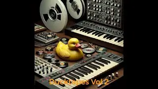 Ducktapes Vol  2