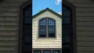 Gorgeous Dark Brown Windows for This Home 🤎  #house  #renovation #transformation #remodel #glowup