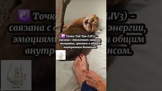 МАССАЖИРУЕМ ТОЧКУ ТАЙ ЧУН, КЛЮЧЕВУЮ ТОЧКУ МЕРЕДИАНА ПЕЧЕНИ. ПОДНИМАЕМ ЭНЕРГИЮ И БАЛАНСИРУЕМ ЭМОЦИИ