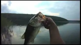Hatcam Fishing | Crankin' & Froggin'