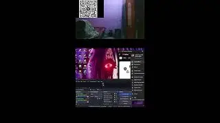 animal lover 1BIT  Live Stream