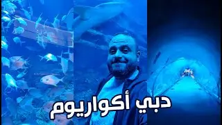 ثاني اكبر حوض سمك في العالم (اكواريوم)  🐟 (شفت البطريق 🐧 اول مرة في دبي)