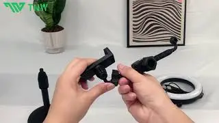 TNW Ring light 6inch Dual Phone Stand For Vlogging with 3 different color fill lights beauty light