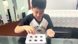 Growing plants in Hydroponic kits