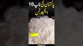 Pakistan's TOP 10 Exports | You will be SHOCKED #pakistan #export #world #top10