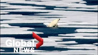 UN issues grim warning on climate change&mdash; what does it mean for Canada?