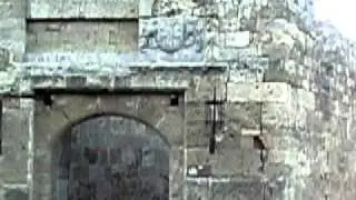 IMGP3021