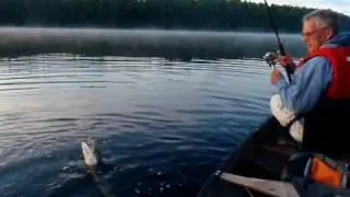Frank's Pike