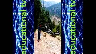 Tour Mamnd Dara Speengar