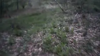 Short Ride in Hawick woodland Goodmans 1080p GoPro Footage by JTAPromos.net