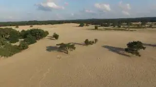 Soester duinen