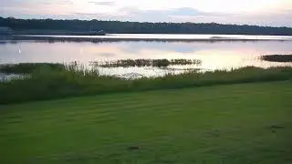 Tennessee-Tombigbee Waterway: Invasive Carp Threat & Ecological Legacy