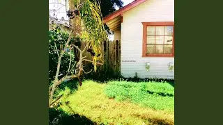 Wet Lawn Chair (Full)