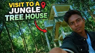 Jungle ka tree house mein ✅#trending  #viralvideo #vlog #newvloger #please #viral 