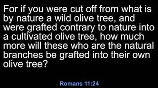 Romans 11 (New American Standard Bible)