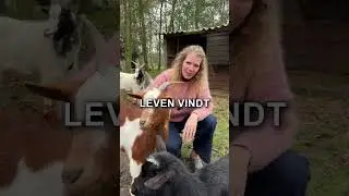 Adem in en voel wat er nu gebeurt. Wat maakt jouw dag bijzonder? | #shorts