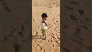 desert experience in abudhabi #youtubeshorts #desert #safari #travel #abudhabi