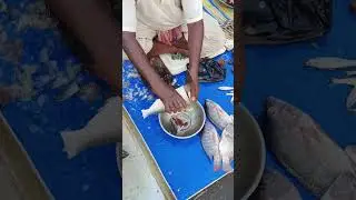 Big Elish Fish Cutting Size 1Kg Rs 1000 per Kg Surjapur Bazar