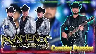 Los Alame&ntilde;os De La Sierra  Puros Corridazos 2022 MIX