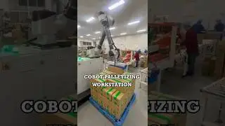 Cobot Palletizing: Works Safely with People!#collaborativerobots #palletizingrobot #workstations