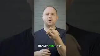 Домовая змея породы Кейп-Код: послушный и легко адаптирующийся питомец!