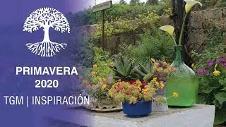 Primavera 2020 - The Garden Molleda | Inspiraci&oacute;n