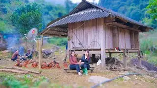 LIVING off The Grid Sustainably! Wood wallpapering, gardening, harvesting and great cooking