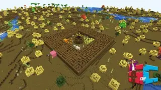 Lost in the Maze!!!