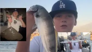 Catching White Sea bass, barracuda, butterfly ray, and stingrays in Newport Beach 🎣🐟🐟