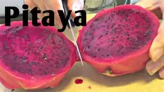 Pitaya (Dragon Fruit) Review - Weird Fruit Explorer : Episode 15