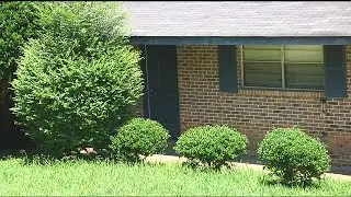 Woman's body found with signs of blunt force trauma, suspect arrested