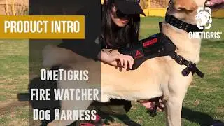 OneTigris FIRE WATCHER Dog Harness