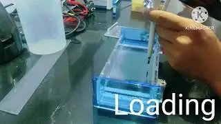 How to load a sample in Agarose gel electrophoresis