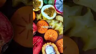 Что ждёт Бена Вулффа в будущем? Курорт в джунглях&hellip; во Флориде.