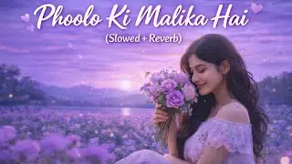 Fulo Ki Malika Hai🔥(slowed X reverb) Atif Aslam Ali Cover New Song Aane Se Uske Aaye Bahar Lofi Mix