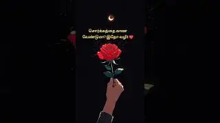 💚 Tamil Emotional Motive Quotes |Tamil sad feeling emotional quotes #shorts #trending #motivation