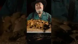 Sandy Loves Rats!