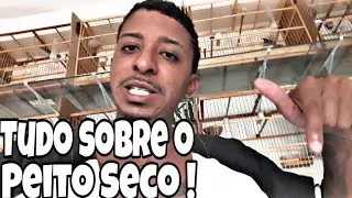 TUDO SOBRE O PEITO SECO - O QUE E , COMO TRATAR , MITOS E VERDADES / MANO TOM