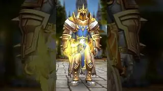 Alliance Champion 👑👑 WoW Transmog