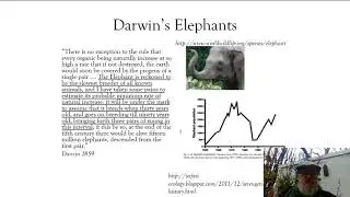 Human Life History Strategy and Overpopulation
